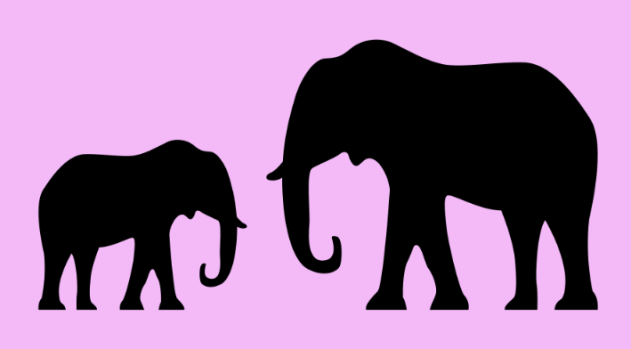 Mars Consulting Solutions